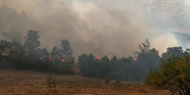 Adana'da orman yangını yerleşim yerlerini tehdit ediyor
