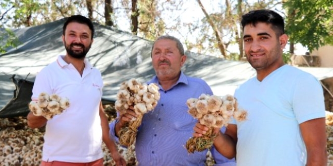Sarımsağın ihracatı durduruldu