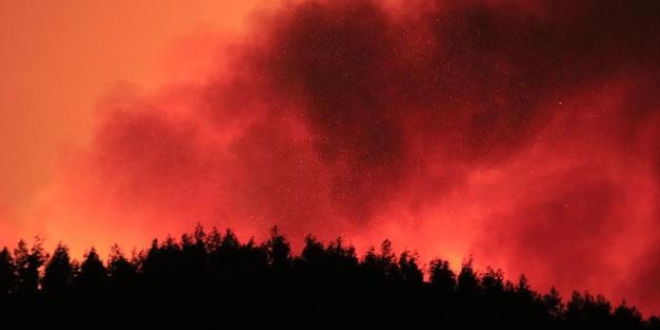 36 saat geçti! Adana Kozan'daki yangın söndürülemiyor