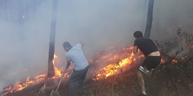 Maltepe'de ormanlık alanda yangın