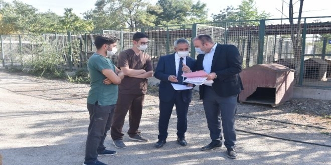Ankara Büyükşehir, yeni hayvan barınakları yapacak