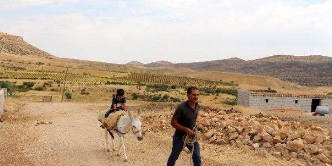 Eşeği elinden alınacak olan çiftçiye müjdeyi kaymakam verdi