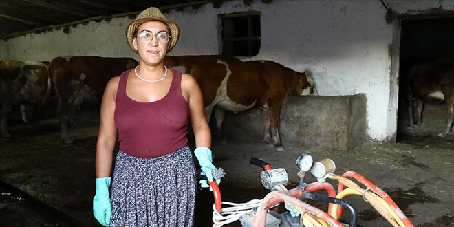 Babasının mirası inekler için kariyerinden vazgeçti