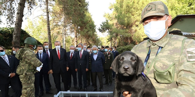 İsimlerini Erdoğan koymuştu... Eğitimleri devam ediyor