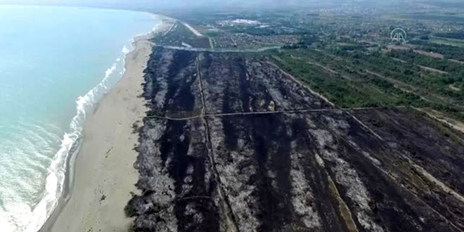 Kızılırmak Deltası Kuş Cenneti'ndeki yangınla ilgili soruşturma başlattı