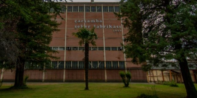 Çarşamba Şeker Fabrikası yeniden üretime başlıyor