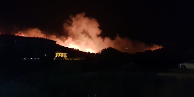 Balıkesir Ayvalık'ta orman yangını!