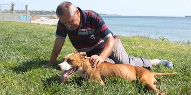 Felçli köpeğine her gün 2 saat antrenman yaptırıyor