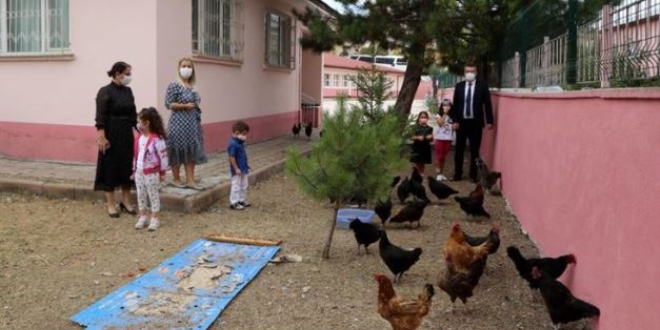 Hobi bahçeli okulun uluslararası ödül gururu