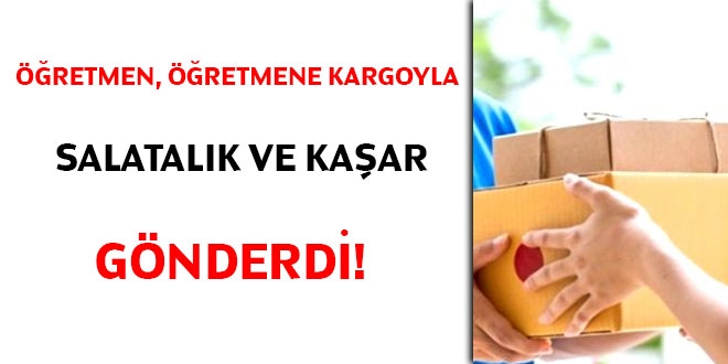 Öğretmen, öğretmene kargoyla salatalık ve kaşar gönderdi!