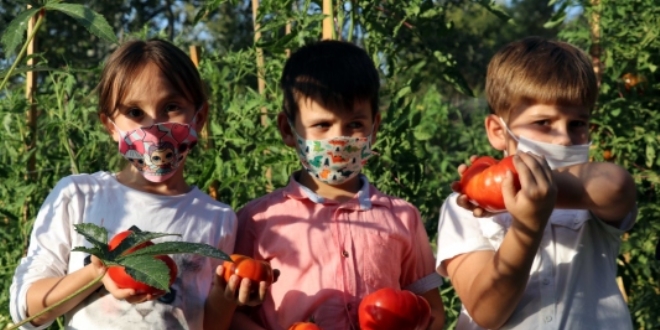 Karabk'te 'ata tohumlar' minik rencilerin ellerinde hayat buluyor