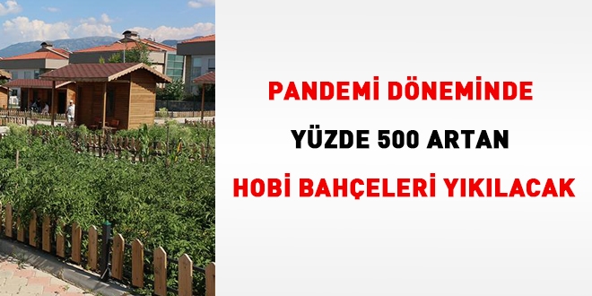 Pandemi döneminde yüzde 500 artan hobi bahçeleri yıkılacak