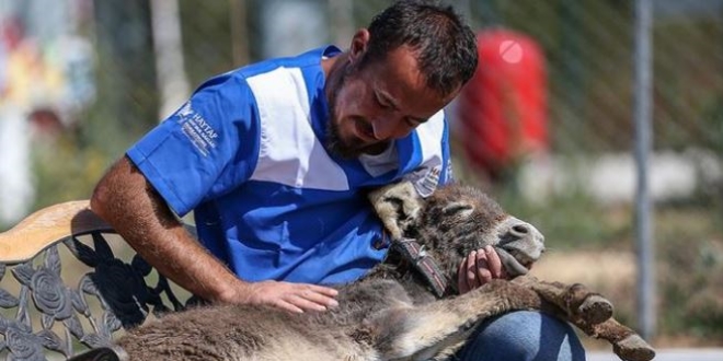 Can dostların sevgi dolu sığınağı: Emekli Hayvanlar Çiftliği
