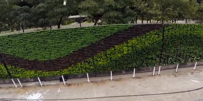 İBB'nin yol kenarlarına, 'dikey bahçe yerine grafiti' çalışması tartışma yarattı
