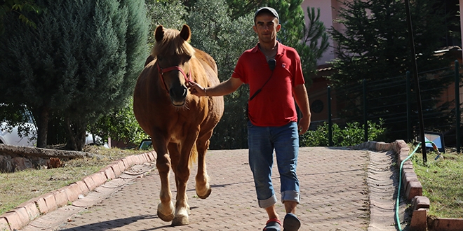 Furkan'ın hayata bağlandığı okulu ekmek kapısı oldu