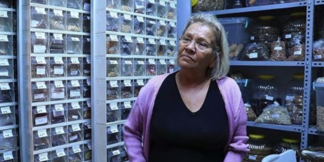 Emekli öğretmen, 1200 çeşit ata tohumuna gözü gibi bakıyor