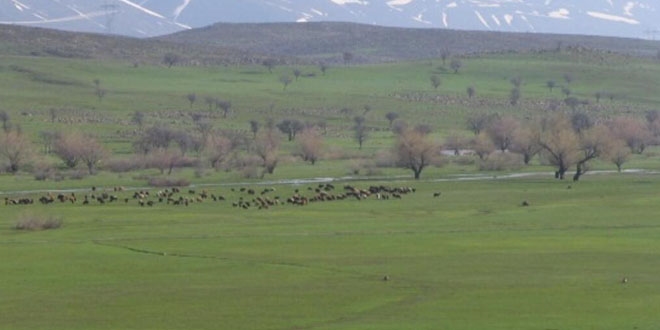 26 ova, büyük ova koruma alanı içine alındı