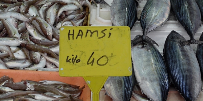 Hamsinin fiyatı cep yakıyor...