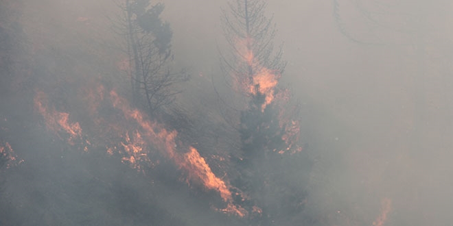Kastamonu'da 5 gnde sndrlen orman yangnlar tekrar balad