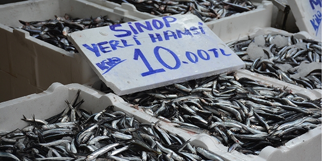 Hamsinin fiyatı düştü: Dün 30 liraydı bugün 10 lira