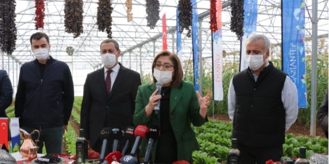Gaziantep'te halka 'şifa paketi' dağıtılacak
