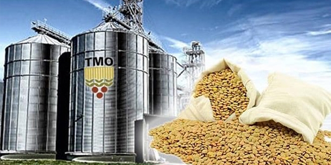 TMO'dan ekmeklik un piyasasına yakın takip
