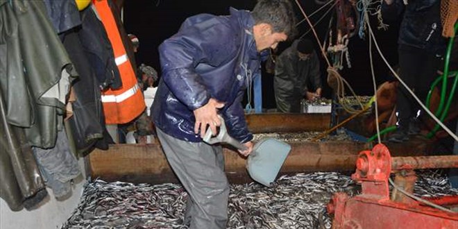 Bartın'da palamuda erken veda eden balıkçıların umudu hamside