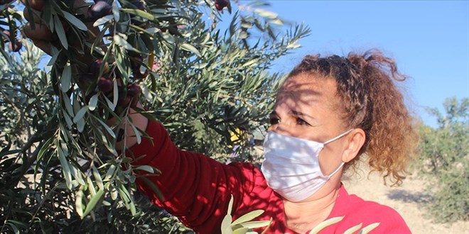 Kilisli kadın girişimcinin zeytinyağında ihracat başarısı