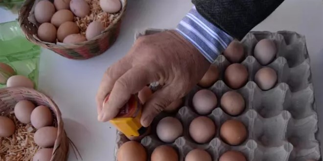 Yumurtada 'köy' hilesi uyarısı! İşte ayırt etmenin yolları
