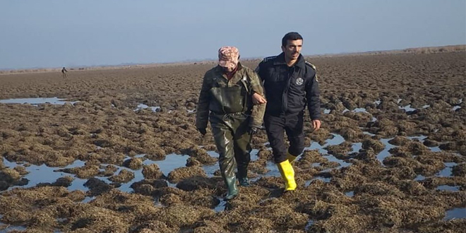 Ördekleri katleden öğretmenin cezası belli oldu