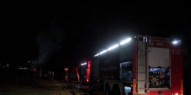 Bursa'da ormanın içindeki ahırda çıkan yangında 7 at telef oldu