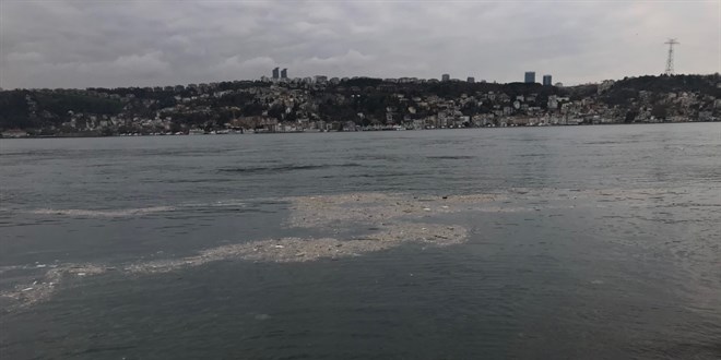 İstanbul Boğazı'nda çöp adacıkları oluştu