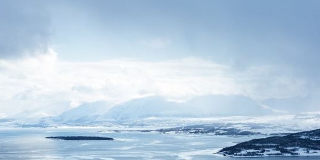 Bir yln ardndan Antarktika'da ilk korona vakalar grld