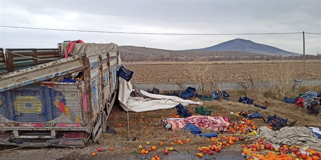 Virajı alamayan meyve yüklü kamyon şarampole uçtu: 2 ölü, 2 yaralı