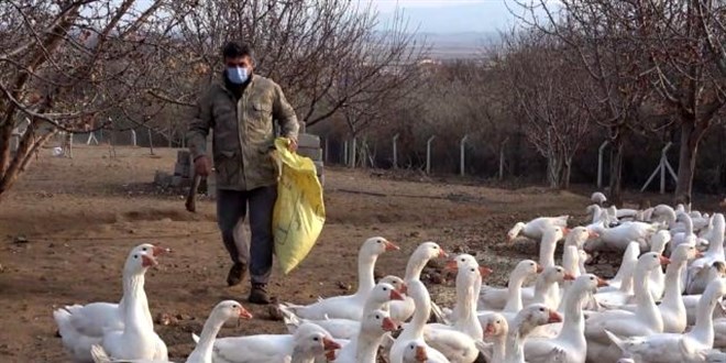 Arkadaşının tavsiyesine uydu şimdi paraya para demiyor