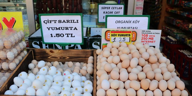 Yumurta 'altın' oldu
