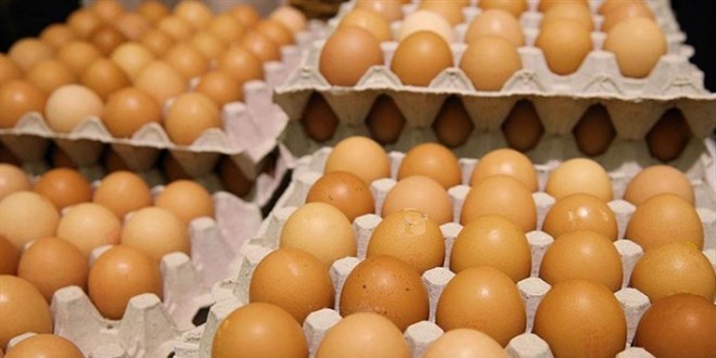 Sar yumurta 'organik' diye pahalya satlyor