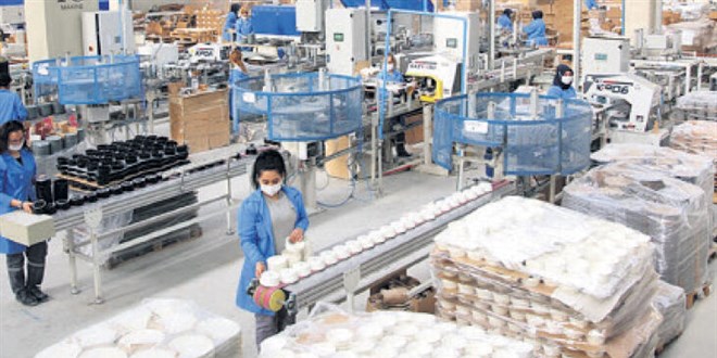 Kütahya'da erkeksiz fabrika! Dünyada örneği az