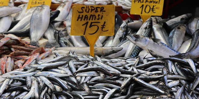 Hamsinin fiyatı 25 TL'den 15 TL'ye düştü