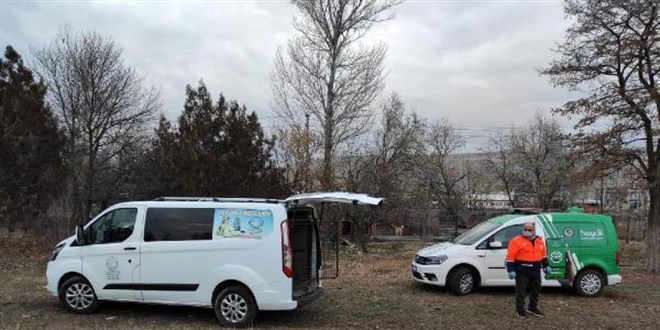 Köpek dövüştüren çiftlik sahibine 26 bin lira ceza