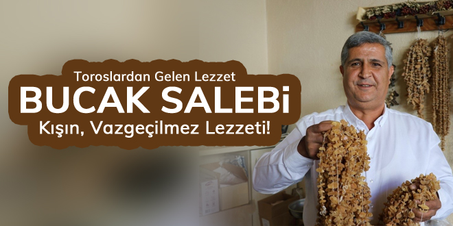Toroslardan gelen lezzet 'Bucak Salebini' alacağınız adres
