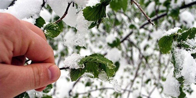 Meteoroloji'den 4 ilimiz iin 'zirai don' uyars