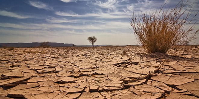 Dünya Meteoroloji Örgütü: 2020 en sıcak 3 yıldan biri