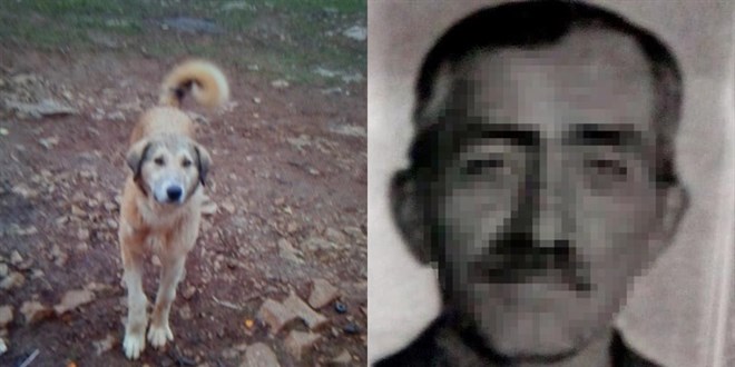 Köpeğini 'fazla ekmek yiyor' diye öldürdü, damadı şikayetçi oldu