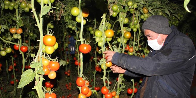 Meteoroloji uyardı, üreticiler zirai don nöbeti tuttu