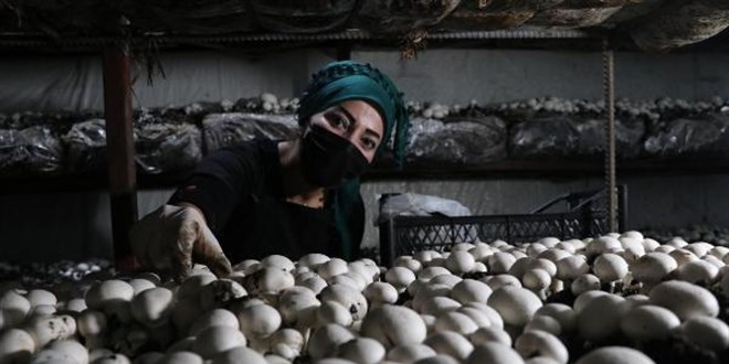 İki arkadaş Doğu Anadolu'nun en büyük tesisini kurdu!