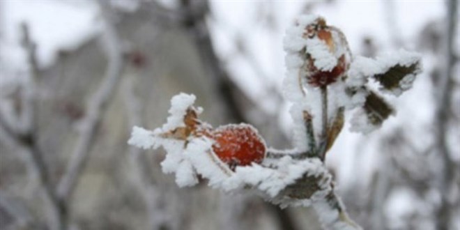 Van, Bitlis, Mu ile Hakkari iin kuvvetli buzlanma ve  uyars yapld