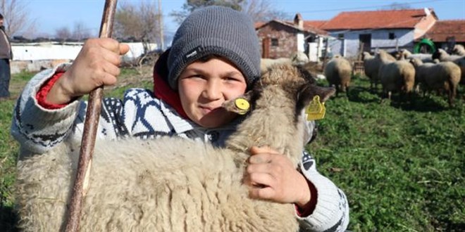 Hem okuyup hem çobanlık yapan Şevki, fenomen oldu