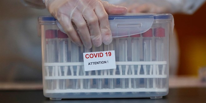 DSÖ: Covid-19'un İngiliz mutasyonu 70 ülkede görüldü