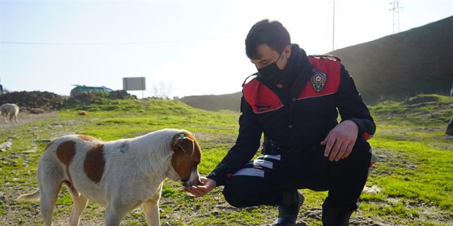 Polislerle sokak hayvanları arasındaki dostluk yürekleri ısıttı